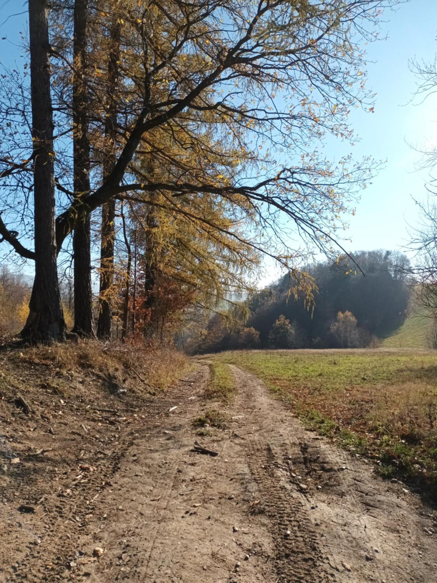 Kulibaba * Bystrzyca Klodzka